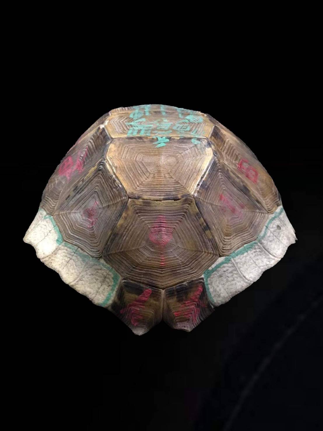 (296041) หลวงพ่อเงินรุ่นปืนแตก พิมพ์นิยมเศียรโต เนื้อเงิน วัดคงคาราม ปี2528 จ.พิจิตร