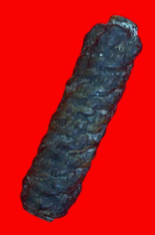 304785 ตะกรุดสาริกา หลวงพ่อทองสุข  วัดสะพานสูง  ปี2506-2615 จ.นนทบุรี