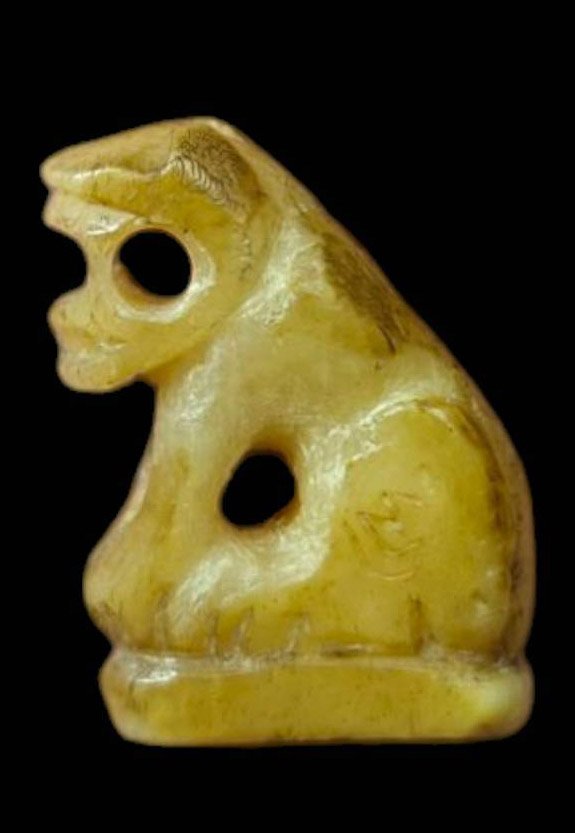 304894 เสือหลวงพ่อเรือน เนื้อกระดูกกรามเสือแกะ พุทธศักราช2440-2553 วัดมงคลโคธาวาส (วัดบางเหี้ย) จ.สมุทรปราการ