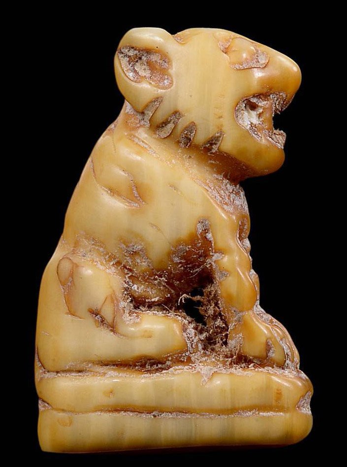 304909 เสืองาแกะ  หลวงพ่อเดิม  วัดหนองโพ  จ.นครสวรรค์