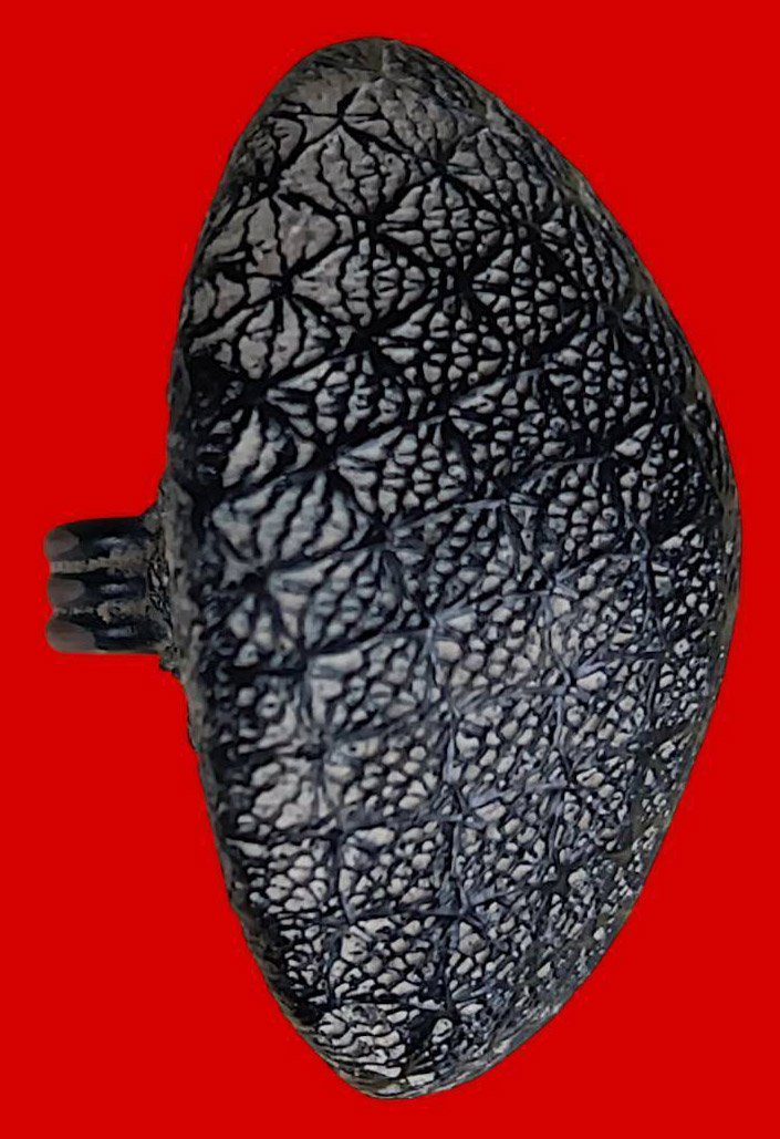 305066 เบี้ยแก้มหาอุตม์  (หูเดียวนิยม)สามห่วง  ยุคต้น อาจารย์กา  วัดแค จ.นครปฐม