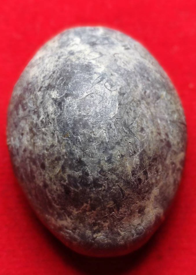 305371 เบี้ยแก้หลวงปู่บุญ   วัดกลางบางแก้ว จัดสร้างปี 2470 - 2477  จ.นครปฐม