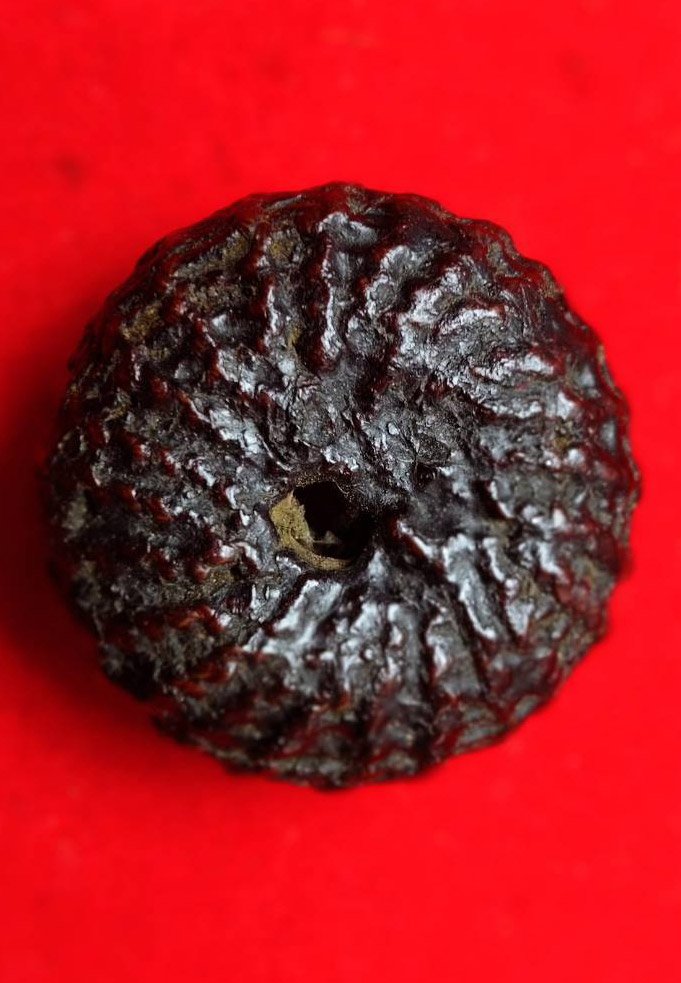 305522 ตะกรุดพิสมร ใบลานบังปืน  หลวงพ่อแก้ววัดพวงมาลัย  เนื้อใบลาน  สร้างปี 2453-2460  จ.สมุทรสงคราม 