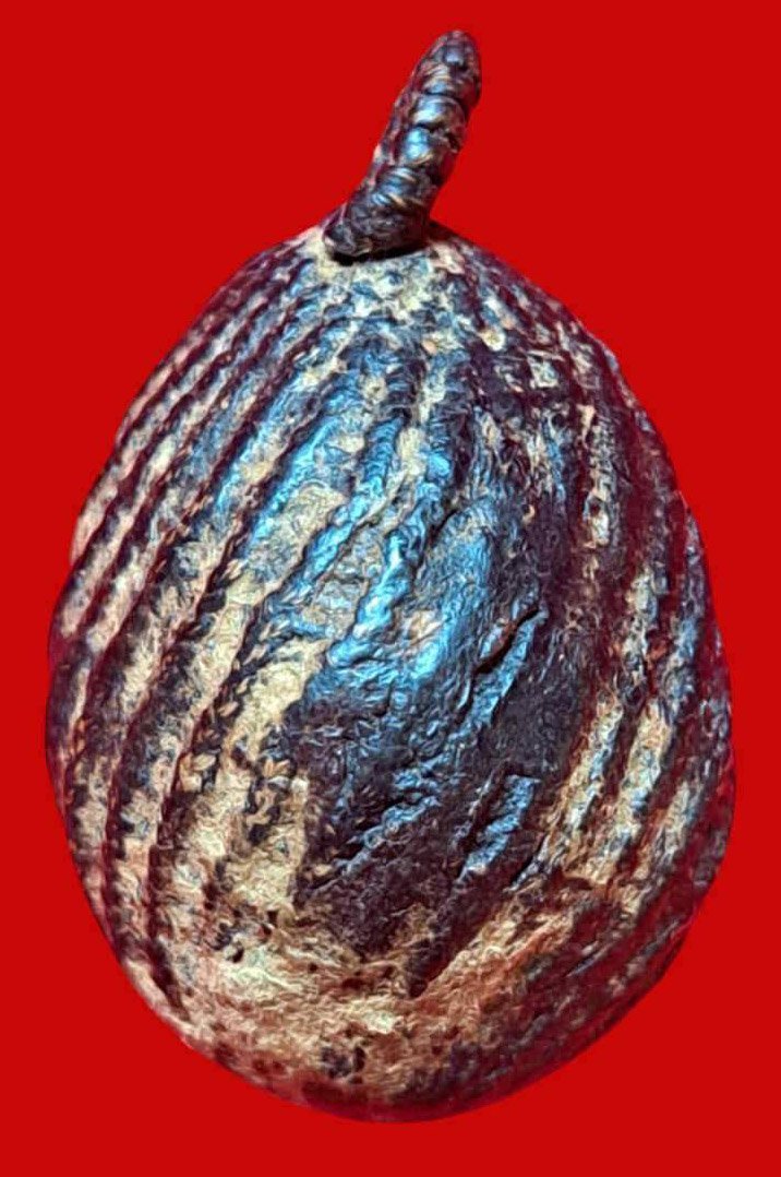 305544 เบี้ยแก้ถักเชือก ลงรักหูเดียว หลวงปู่รอด วัดนายโรง ปี2443-2465 กทม.