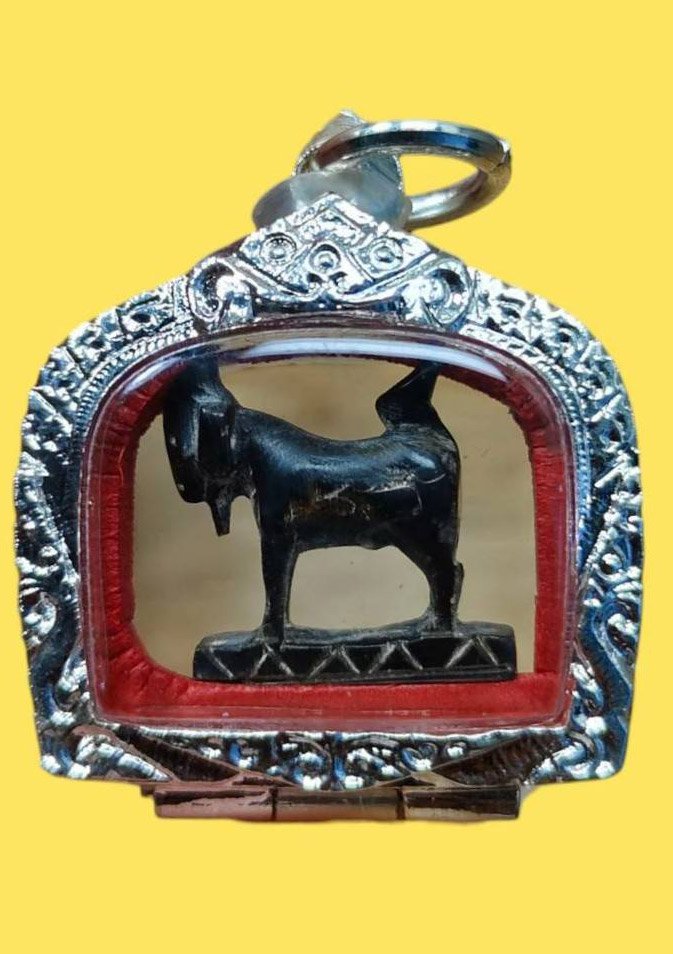  305571 แพะเศรษฐีหลวงพ่อลัด  เนื้อเขาควาย พุทธศักราช2520-2530 วัดหนองกระบอก จ.ระยอง