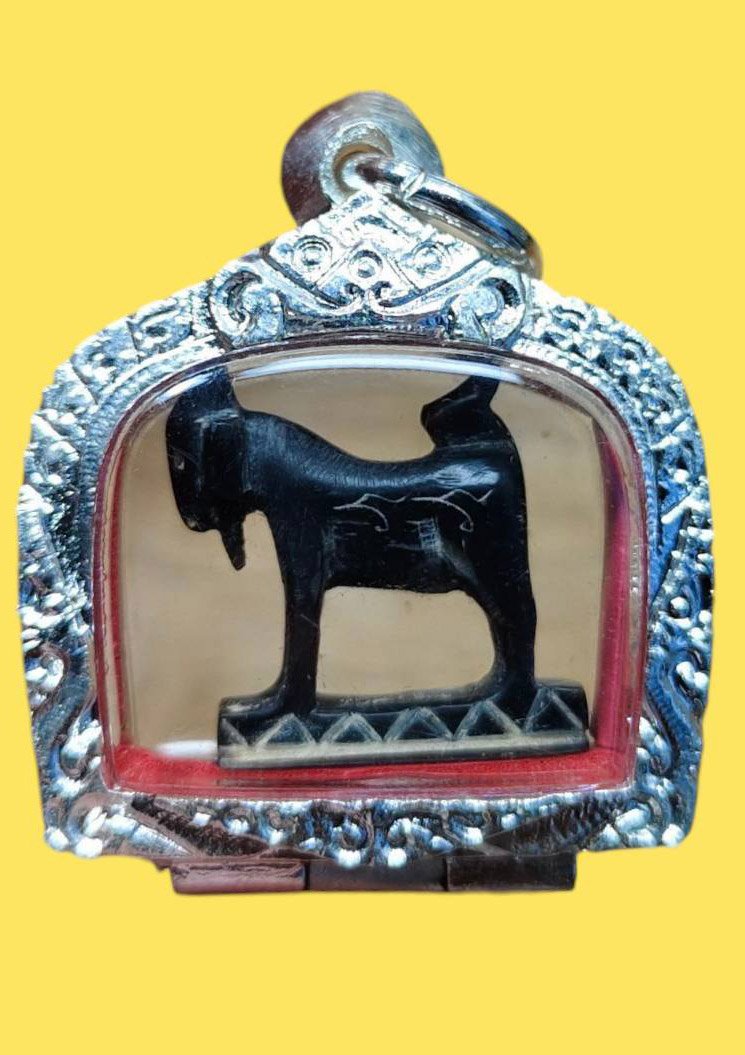 305572 แพะเศรษฐีหลวงพ่อลัด  เนื้อเขาควาย พุทธศักราช2520-2530 วัดหนองกระบอก จ.ระยอง