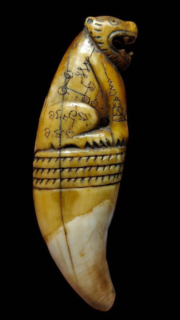 305624 เขี้ยวหมีแกะหลวงพ่อนก พุทธศักราช2430-2475 วัดสังกะสี จ.สมุทรปราการ