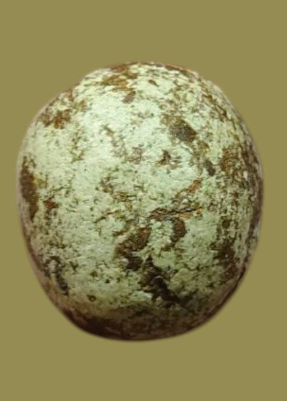 305627 ลูกอมผงพรายกุมาร หลวงปู่ทิม เนื้อบรอนซ์ฝุ่น พุทธศักราช 2517  วัดละหารไร่ จ.ระยอง