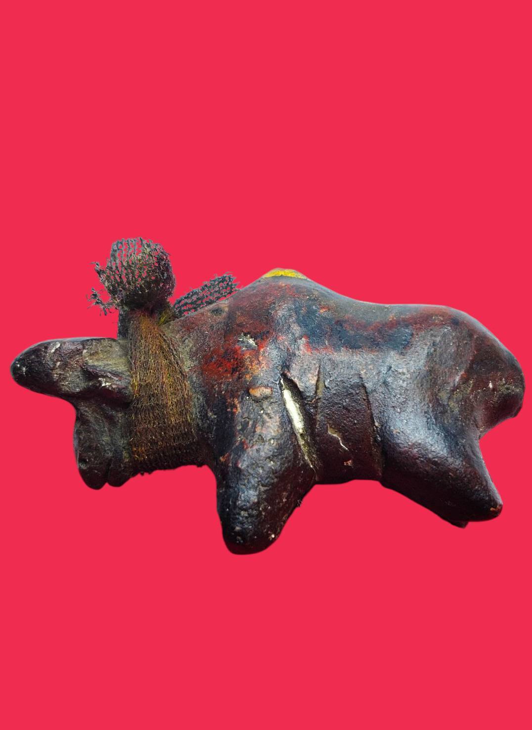 306305 วัวธนูหลวงพ่อน้อย  เนื้อผงคลุกรัก  พ.ศ. 2470-2488  วัดศรีษะทอง จ.นครปฐม 