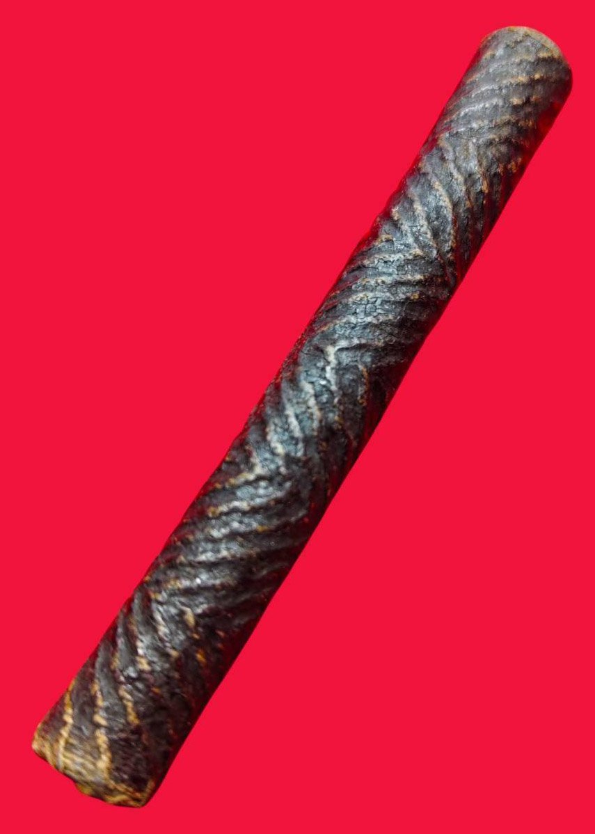 306307 ตะกรุดจันทร์เพ็ญ หลวงปู่ศุข (ตะกรุดใต้น้ำ) เนื้อตะกั่ว  ถักเชือกถักจระเข้ขบฟัน  วัดปากคลองมะขามเฒ่า  พุทธศักราช 2440-2457 