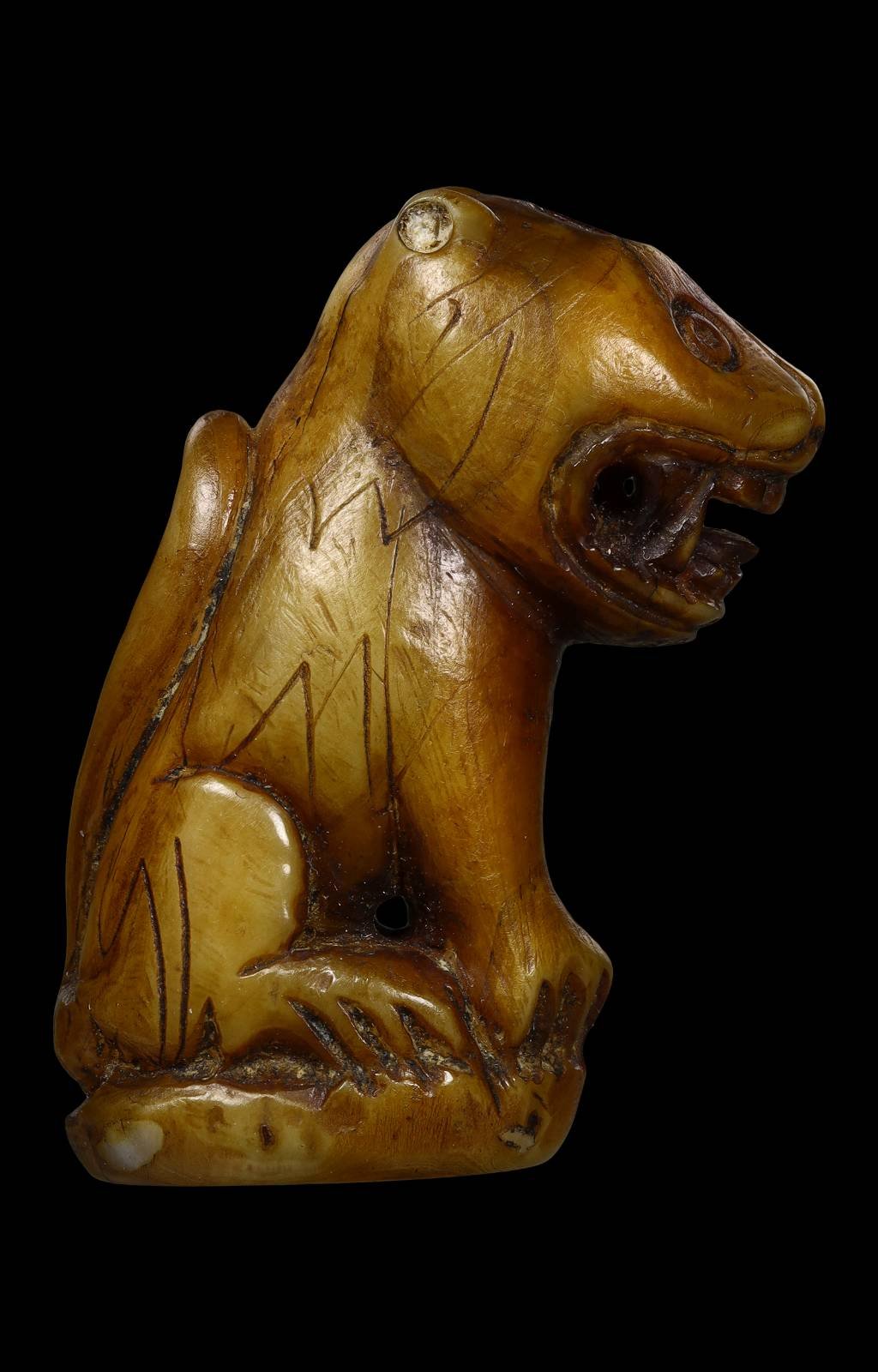 306338 เขี้ยวเสือหลวงพ่อปาน วัดมงคลโคธาวาส ( บางเหี้ย ) พิมพ์อ้าปาก หางม้วน จ.สมุทรปราการ