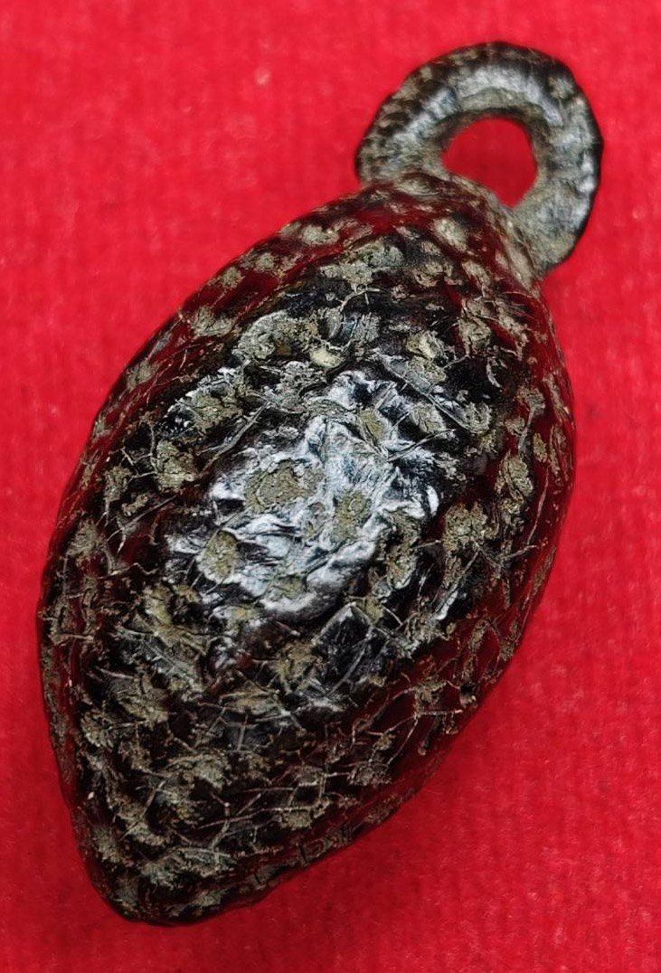 306624 หมากทุยหลวงปู่เอี่ยม  วัดหนังราชวรวิหาร  เนื้อหมาก  สร้างปี 2443-2469  จ.กรุงเทพมหานคร 