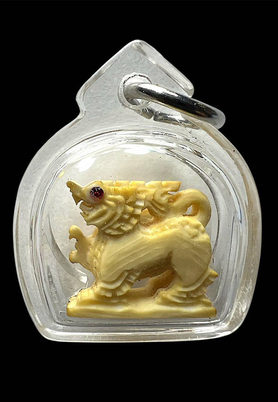 306692 สิงห์ยกขา งาแกะ  ตาพลอยแดง ปี 2520   หลวงพ่อหอม  วัดชากหมาก จ.ระยอง