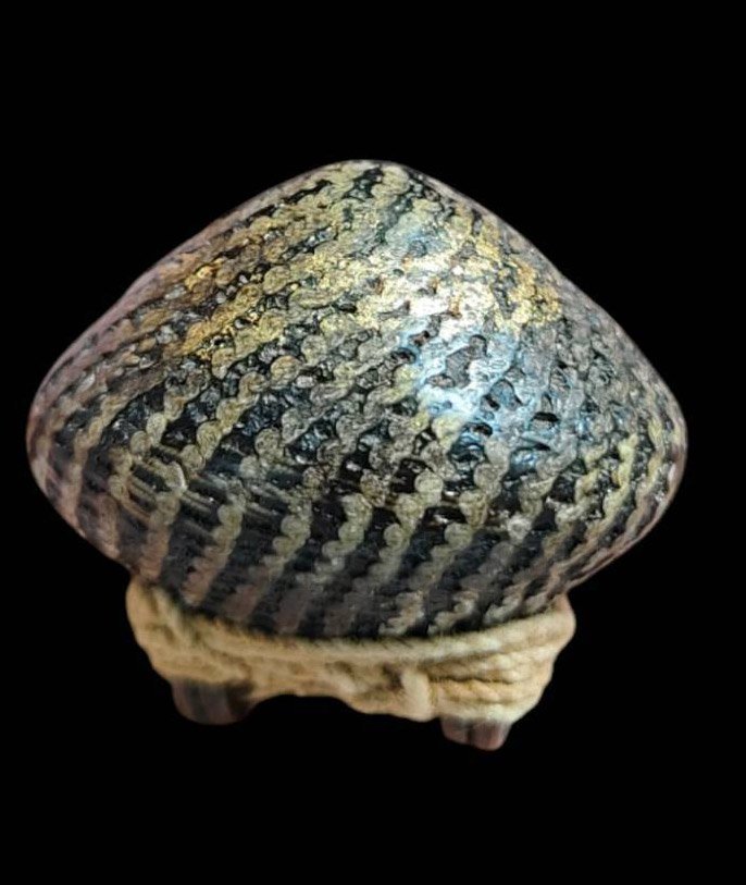 303068 เบี้ยแก้หลวงปู่เพิ่ม พุทธศักราช 2495-2505 วัดกลางบางแก้ว จังหวัดนครปฐม เครื่องรางสยาม