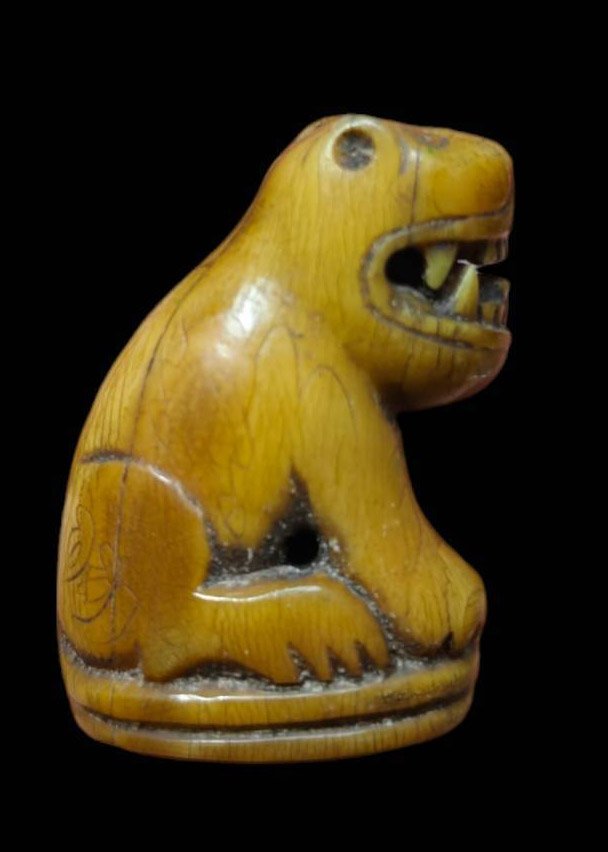 303109 เขี้ยวเสือแกะหลวงพ่อปาน พุทธศักราช 2440-2460 วัดมงคลโคธาวาส(วัดบางเหี้ย) จ.สมุทรปราการ