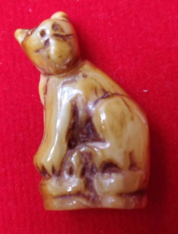 303136 เขี้ยวเสือแกะ หลวงพ่อสาย  ปี 2490 - 2519  เนื้อเขี้ยวเสือ  วัดมงคลโคธาวาส (บางเหี้ย)  จ.สมุทรปราการ 