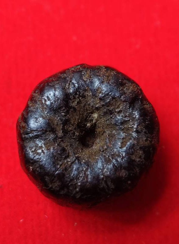  303158 ตะกรุดพิสมร  หลวงพ่อแก้ว วัดพวงมาลัย  เนื้อใบลานบางปืน  สร้างปี 2450-2460  จ.สมุทรสงคราม 