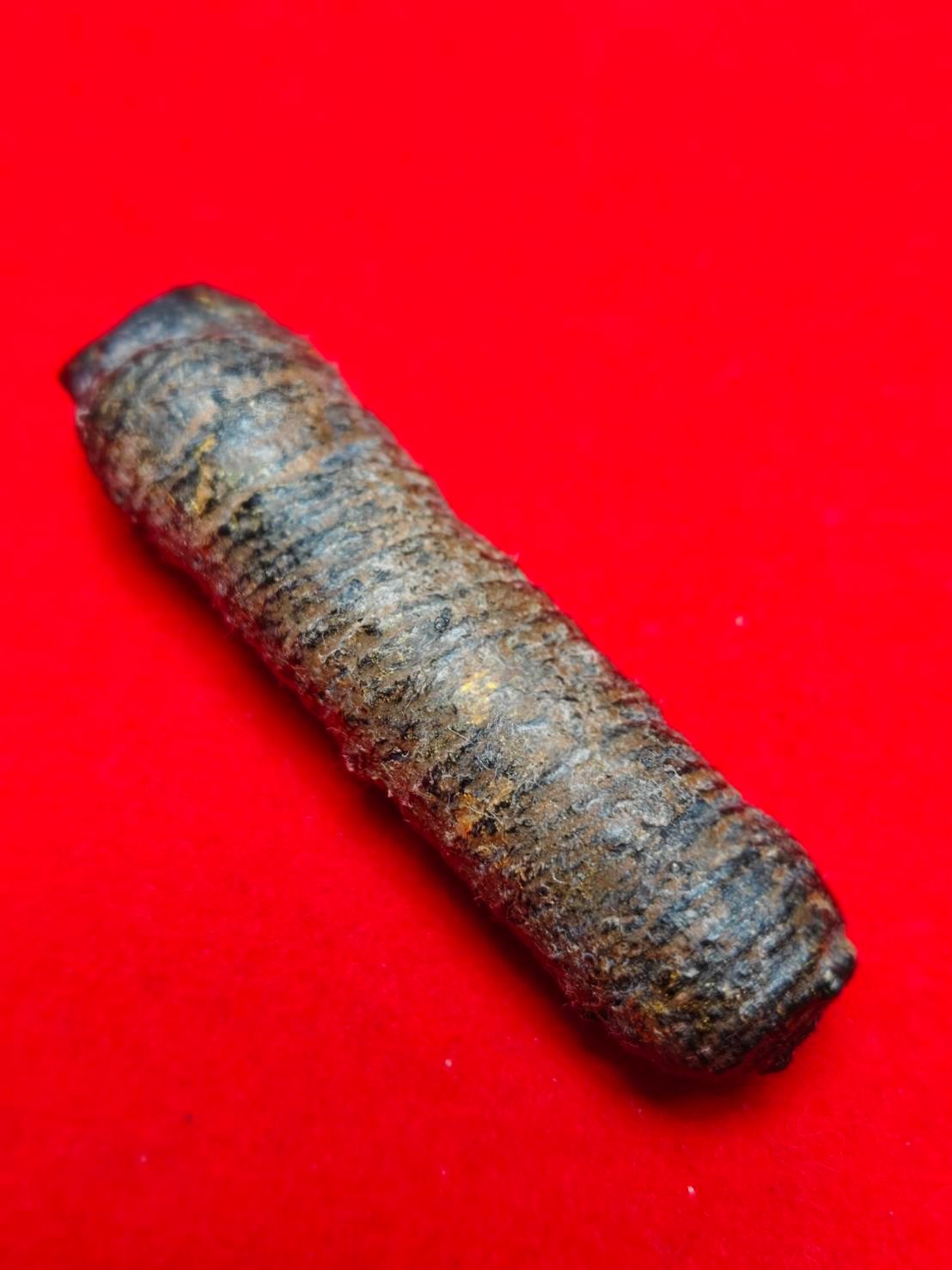 303377 ตะกรุดหนังหน้าผากเสือ  หลวงปู่บุญ  พุทธศักราช 2470-2477  วัดกลางบางแก้ว  เนื้อหน้าผากเสือ จ.นครปฐม 