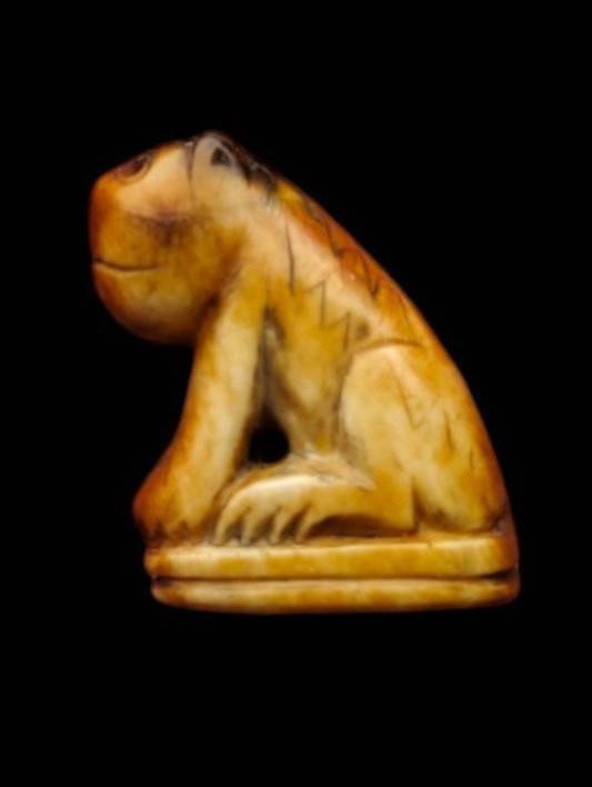 303400 เสือเขี้ยวแกะหลวงพ่อสาย พุทธศักราช2470-2519 วัดมงคลโคธาวาส (วัดบางเหี้ย) จ.สมุทรปราการ