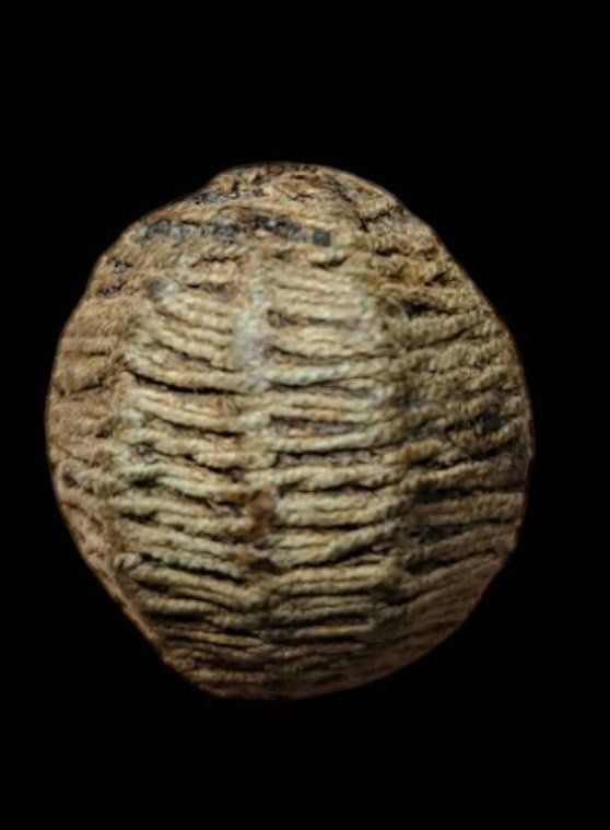 303453 ลูกอมมหากัณฑ์(ถักเชือก)  หลวงพ่อคง พุทธศักราช2480-2484 วัดบางกะพ้อม จ.สมุทรสงคราม