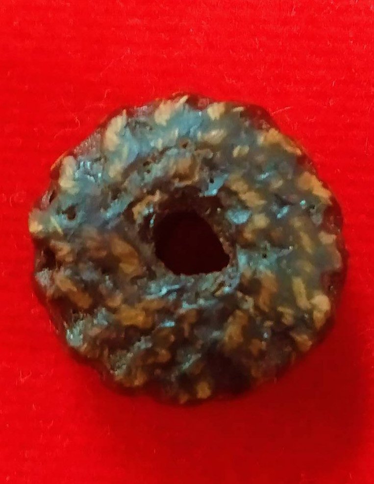 303478 ตะกรุดพิสมร ใบลานบังปืน  หลวงพ่อแก้ววัดพวงมาลัย  เนื้อใบลาน  สร้างปี 2453-2460  จ.สมุทรสงคราม 