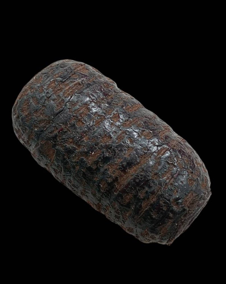 303658 ตะกรุดหนังหน้าผากเสือ  หลวงปู่บุญ  พุทธศักราช 2470-2477  วัดกลางบางแก้ว  เนื้อหน้าผากเสือ จ.นครปฐม 