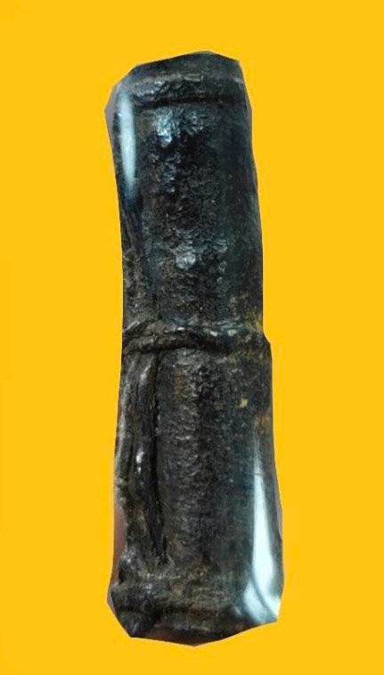 302323 ตะกรุดหนังหน้าผากเสือ หลวงปู่นาค พุทธศักราช2485-2495 วัดอรุณราชวราราม(วัดแจ้ง) จ.กรุงเทพมหานคร