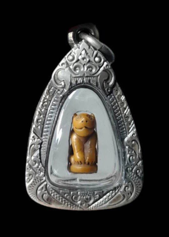 303780 เสือหลวงพ่อสาย เนื้อเขี้ยวแกะ พุทธศักราช2470-2519 วัดมงคลโคธาวาส(วัดบางเหี้ย) จ.สมุทรปราการ