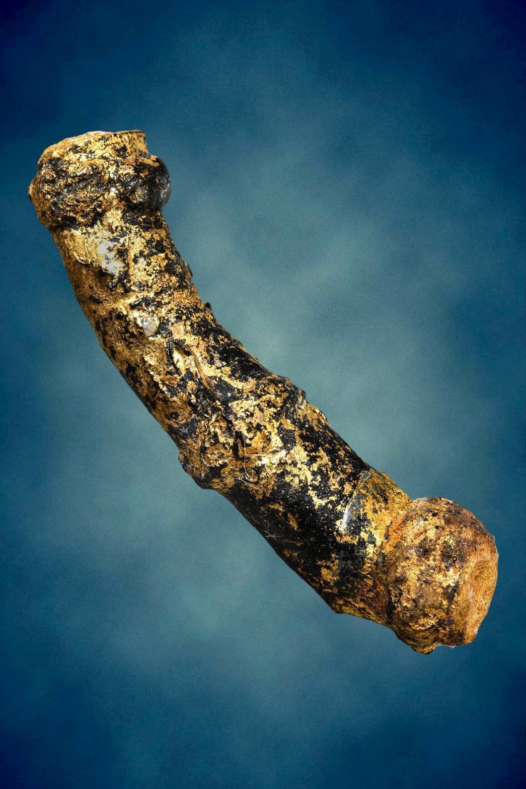 303794 ตะกรุดหนังหน้าผากเสือ หลวงปู่นาค เนื้อหนังเสือ วัดอรุณราชวราราม  ราชวรมหาวิหาร กทม. พุทธศักราช 2464-2485