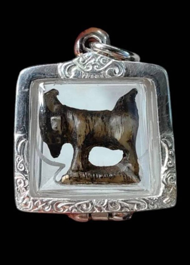 303985 แพะหลวงพ่อลัด  เนื้อเขาควายเผือก พุทธศักราช 2520-2530 วัดหนองกระบอก จ.ระยอง