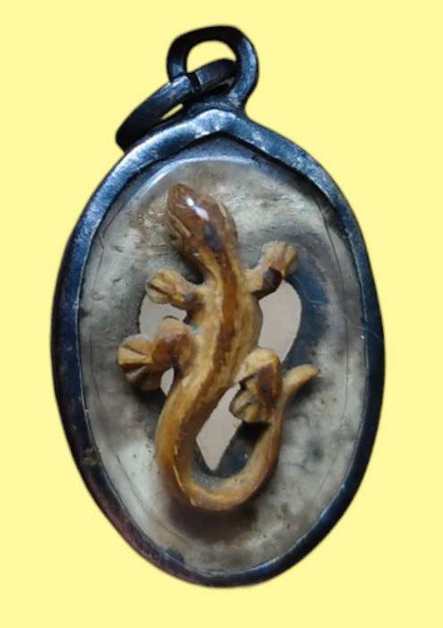 304028 จิ้งจกหลวงปู่หน่าย เนื้องาช้าง พุทธศักราช2512-2531 วัดบ้านแจ้ง จ.พระนครศรีอยุธยา