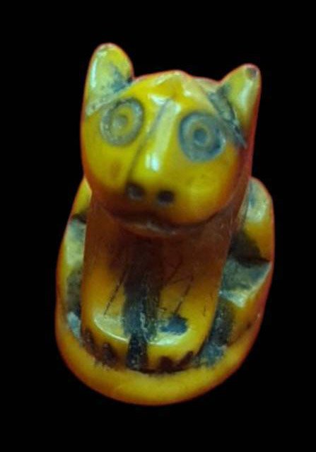 304037 เขี้ยวเสือแกะ หลวงพ่อปาน  วัดมงคลโคธาวาส (บางเหี้ย)  ประมาณปี 2420-2453 จังหวัดสมุทรปราการ