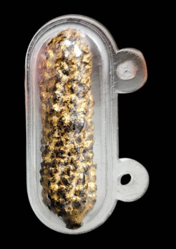  304138 ตะกรุดหนังเสือหลวงพ่อเต๋ พุทธศักราช 2480-2520 วัดอรัญญิการาม (วัดสามง่าม) จ.นครปฐม