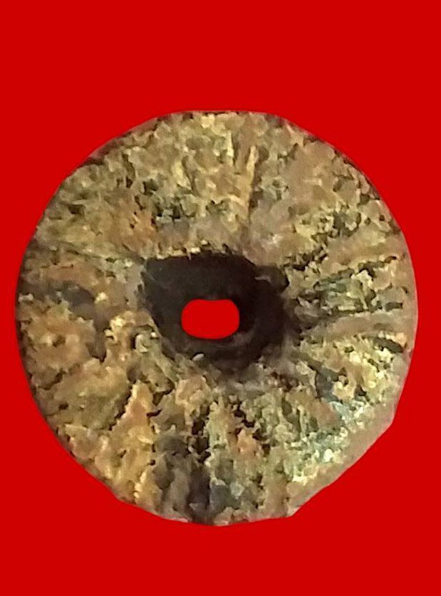 304231 ตะกรุดพิสมรใบลาน  ลงรักถักเชือก   ปี 2450-2462 หลวงพ่อแก้ว วัดพวงมาลัย  จ.สมุทรสงคราม