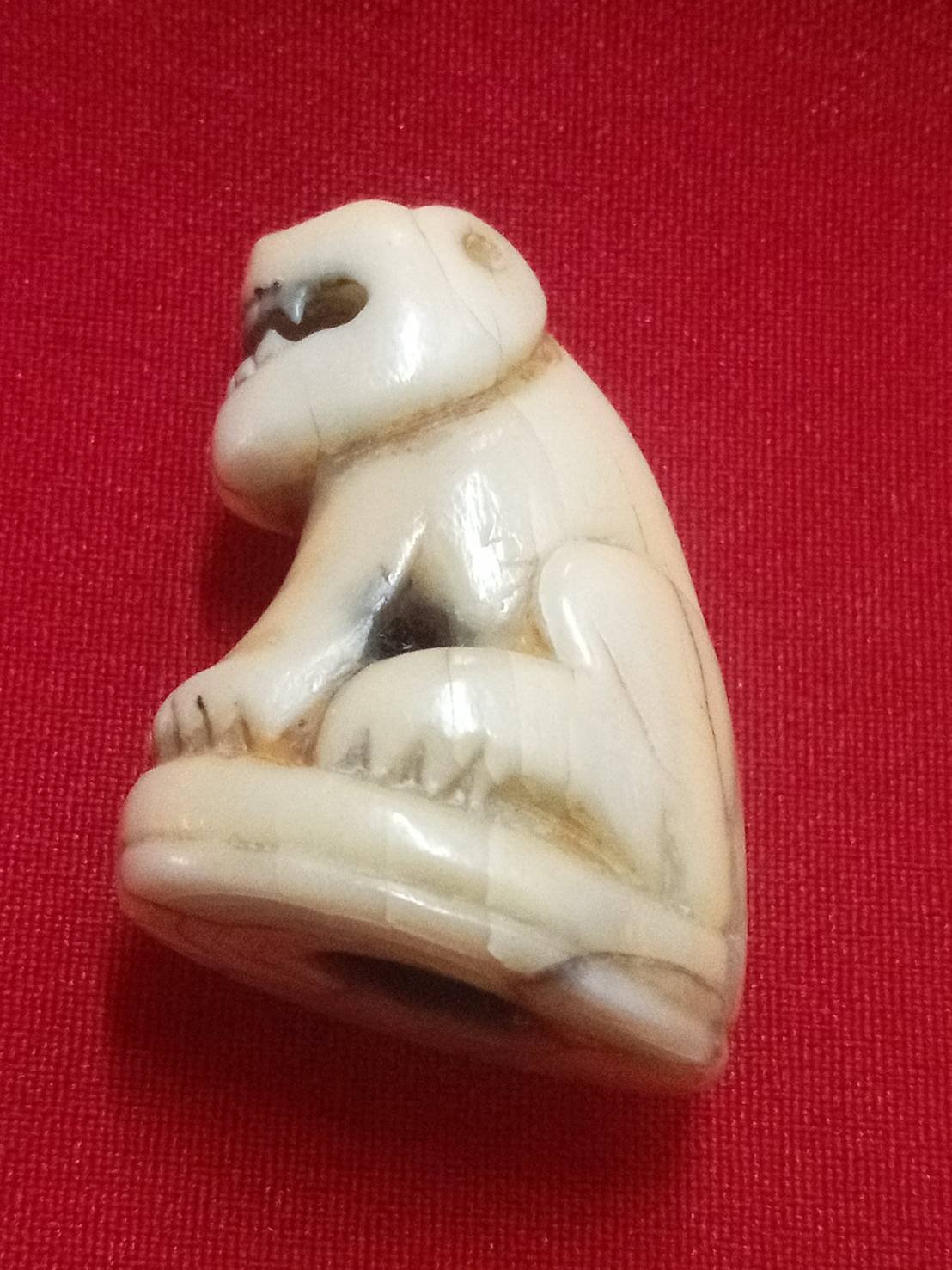 304338 เขี้ยวเสือแกะหลวงพ่อสาย ยุคต้น วัดบางเหี้ย  (วัดมงคลโคธาวาส)  จ.สมุทรปาการ